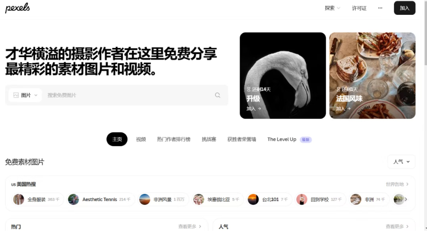 图片[12]-分享 25 个神仙网站，一人公司全部免费搞定-星途优栈